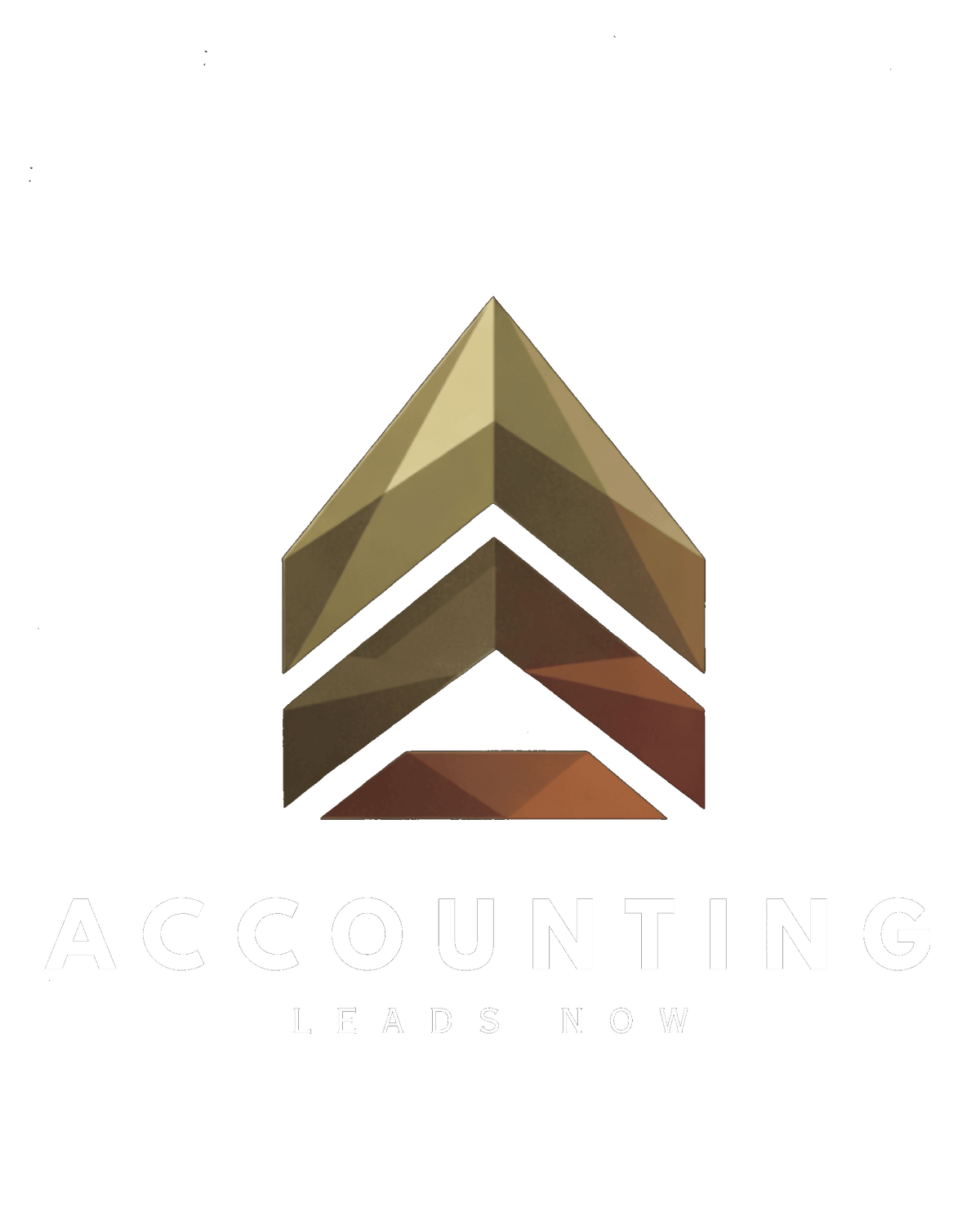 Accounting Leads Now logo