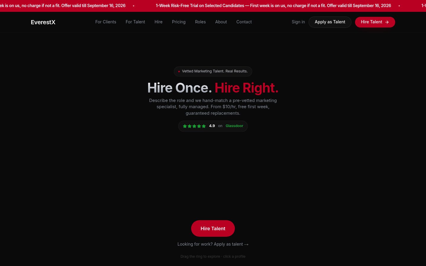 EverestX website preview