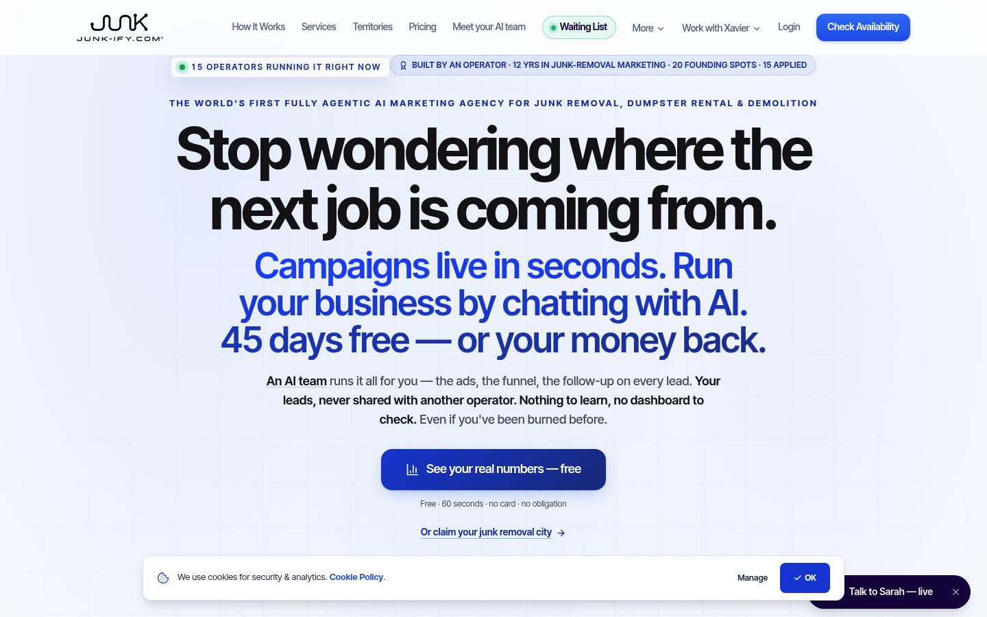 JUNK-IFY website preview