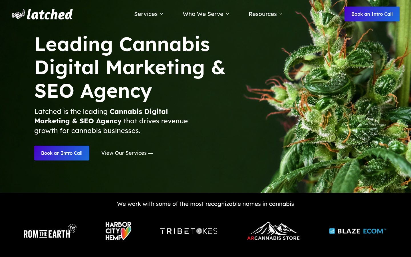Latched website preview