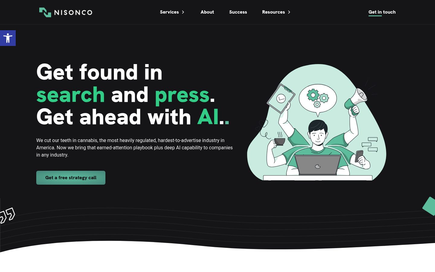 NisonCo website preview
