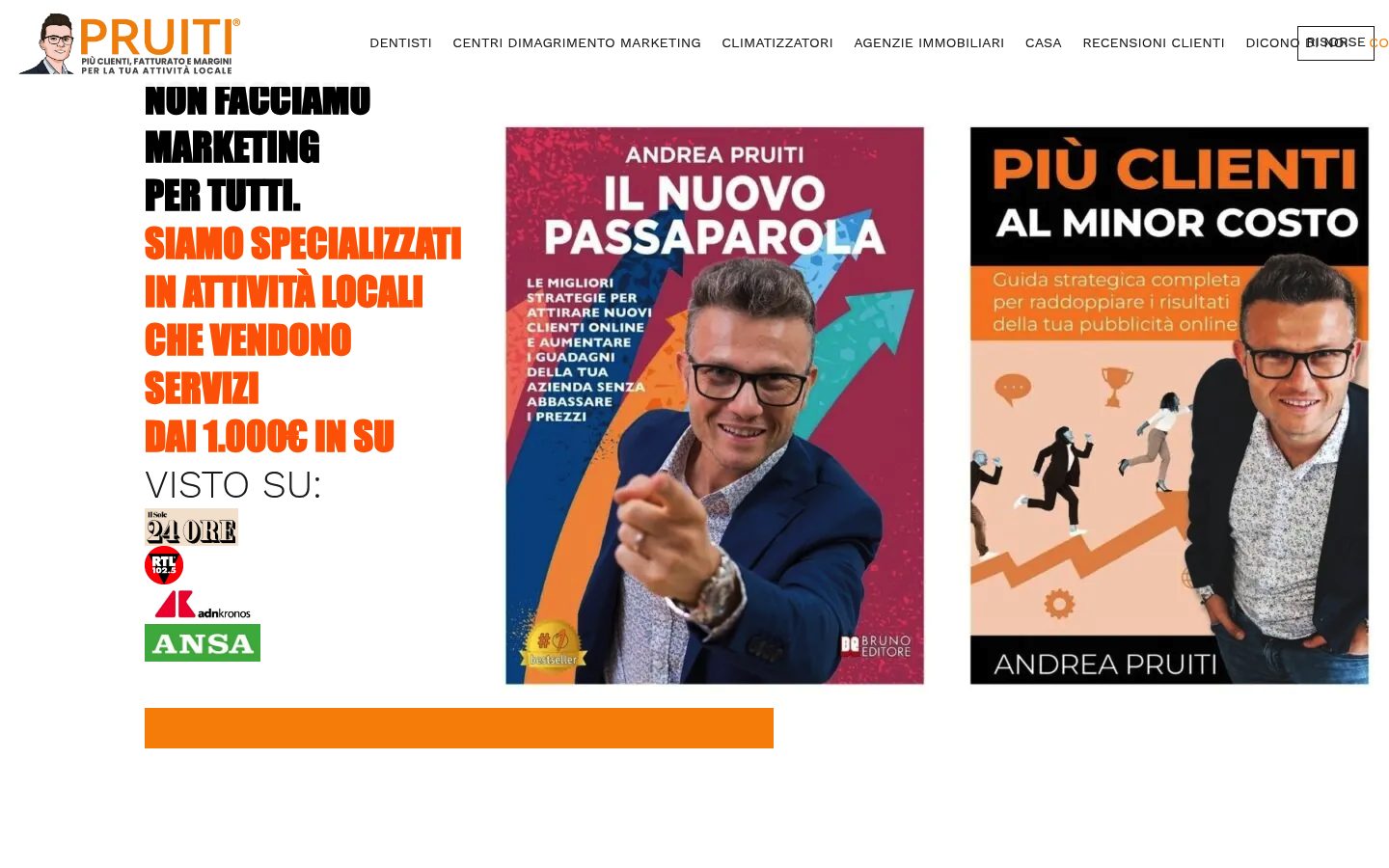 Pruiti Marketing website preview