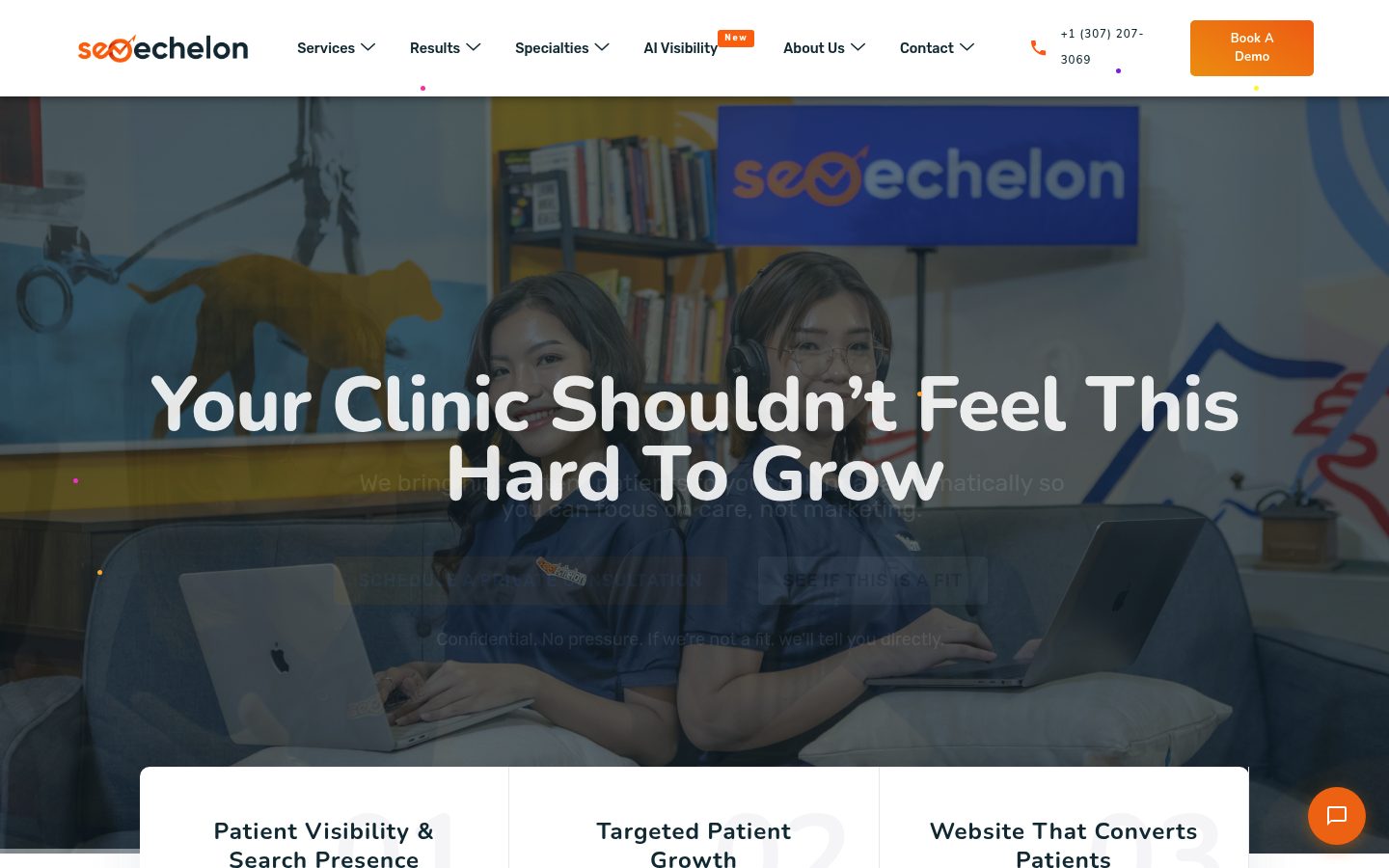SEOEchelon website preview