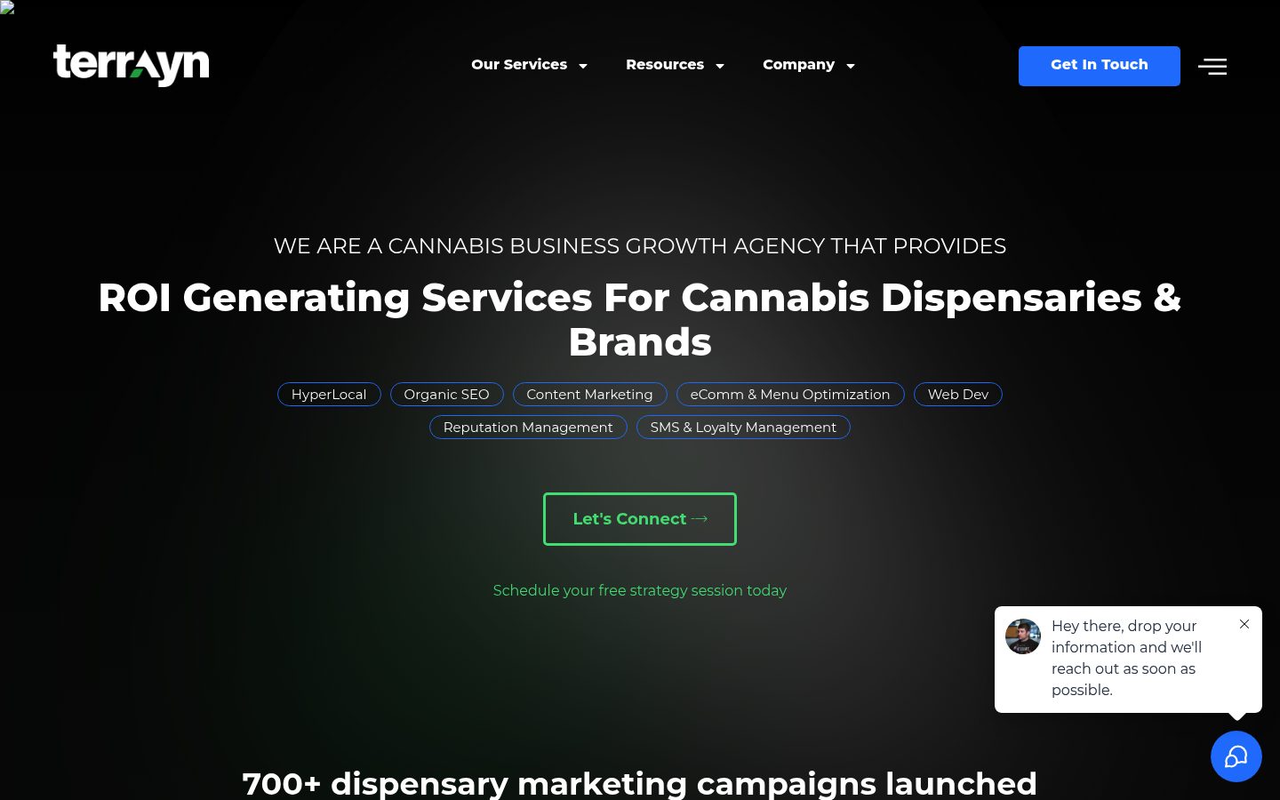 Terrayn website preview